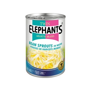 BEAN SPROUTS 420g TWIN ELEPHANTS