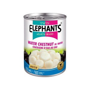 CHESTNUTS IN WATER 540g TWIN ELEPHANTS