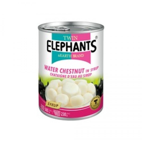 WATER CHESTNUTS IN SYRUP 565g TWIN ELEPHANTS